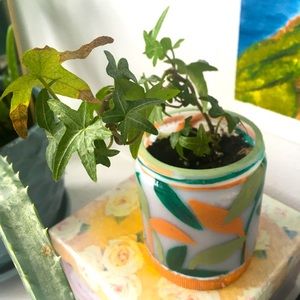 Ivy Plant with Pot